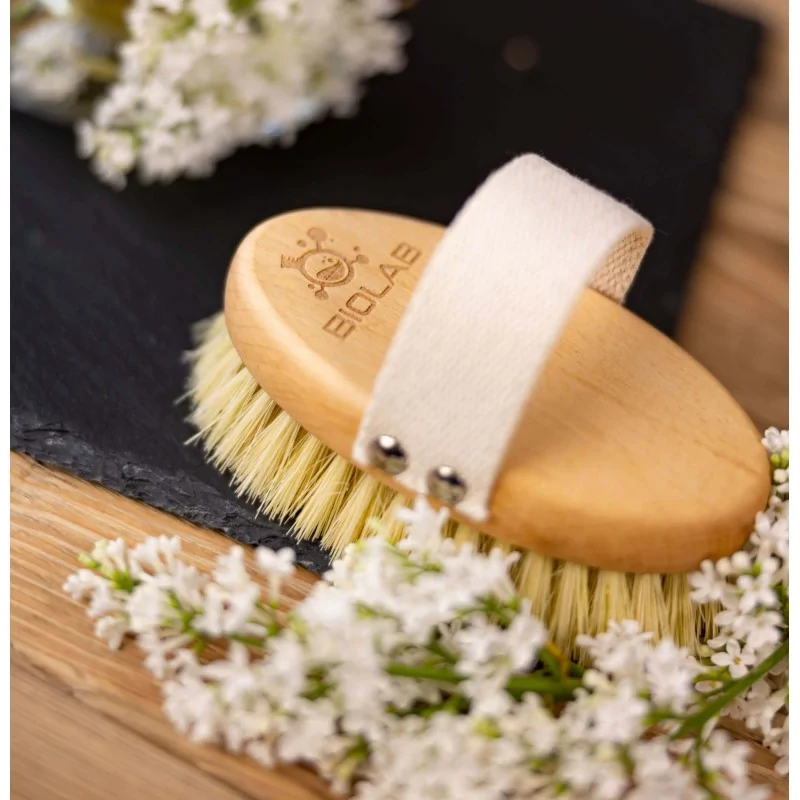 dry body brush dry body brush